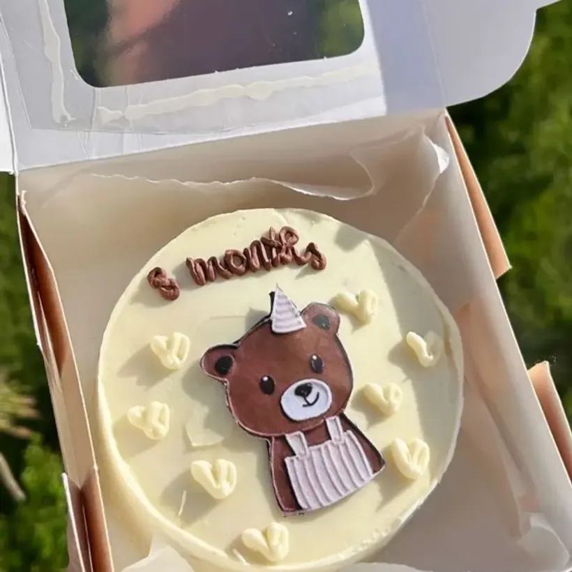 Inspiration bento cake 3